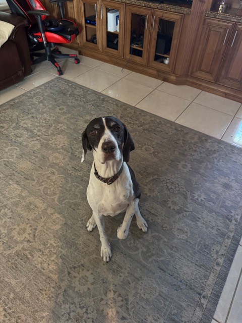 K9 Max